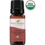 Plant Therapy Етерично масло от Тамян Серата Органик 10 мл