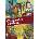 MagicBox Identity Card - 2DVD (057864)