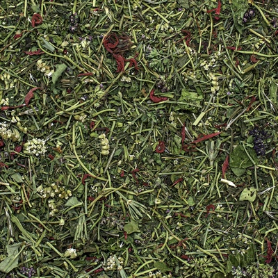 Herbarium Projekt VITALITA liečivé rastliny v čajovej zmesi 30 g