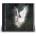 Barrett Nessa - Young Forever CD