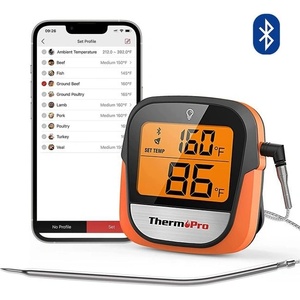ThermoPro TP-901