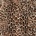 Letný pružný softshell leopard