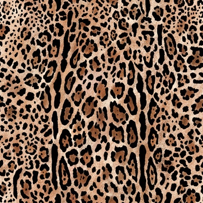 Letný pružný softshell leopard