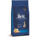 Brit PREMIUM Cat Kitten 8 kg