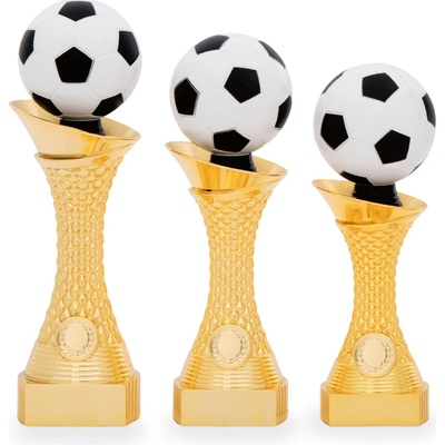 Poháry Fotbal 32607 1