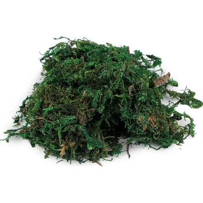 Prima-obchod Dekorační mech 25 g, barva 2 zelená