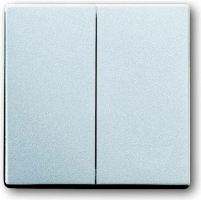 Busch-Jaeger 2CKA001751A2942