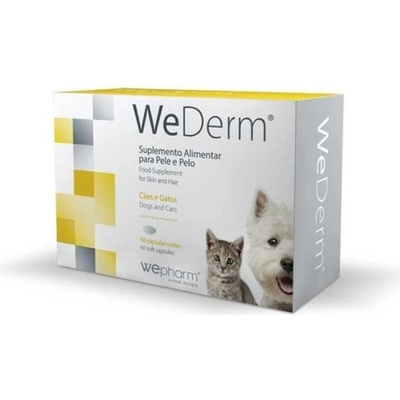 WEPHARM WeDerm pro psy a kočky 60 kapslí
