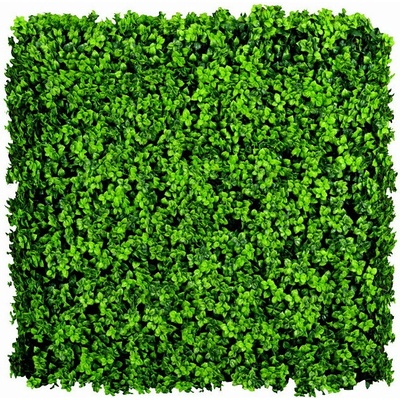 Umělý živý plot LEUCODENDRON, 4ks dílce 50x50cm, plocha 1m2