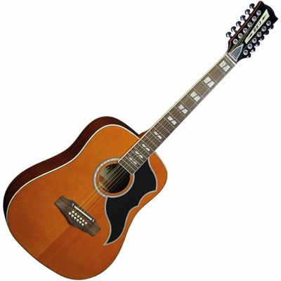 Eko guitars Ranger XII VR