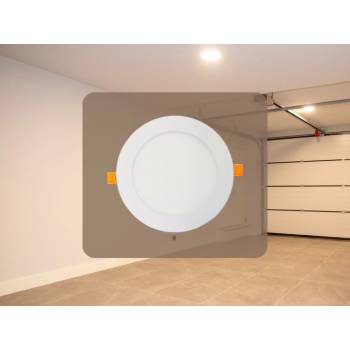 Nedes LPL113