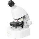 Discovery Micro Polar
