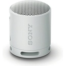Sony SRS-XB100H