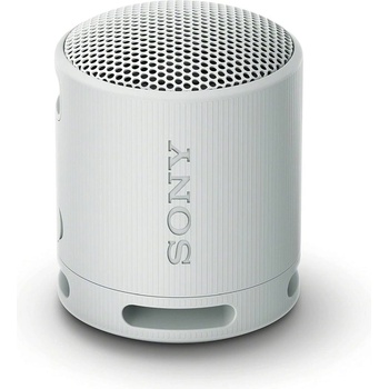 Sony SRS-XB100H