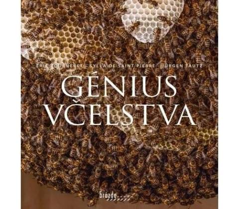 Génius včelstva