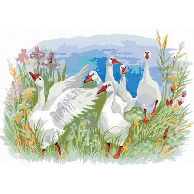 zuty Malování Podle Čísel Husy Na Farmě 80 x 100 Cm Plátno Rám