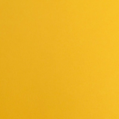 Fabriano Картон Elle Erre, 70 x 100 cm, 220 g/m2, № 103, охр (1535180504)