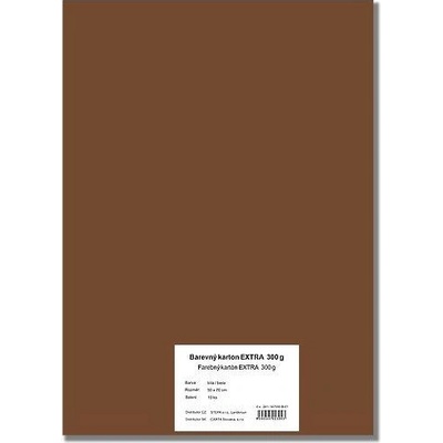 STEPA Barevný karton EXTRA 300g 50x70cm - hnědý 10listů