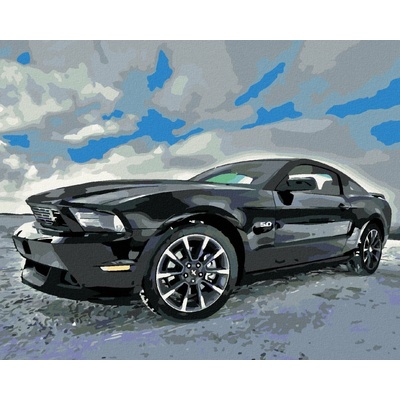 Zuty Malování Podle Čísel Sportovní Černé Auto 80 x 100 cm Plátno Rám