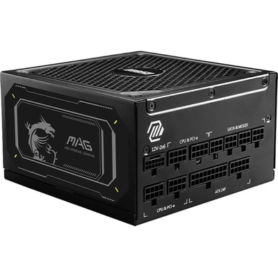 MSI Mag A1000GL Pcie5 II