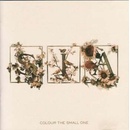 SIA: COLOUR THE SMALL ONE CD