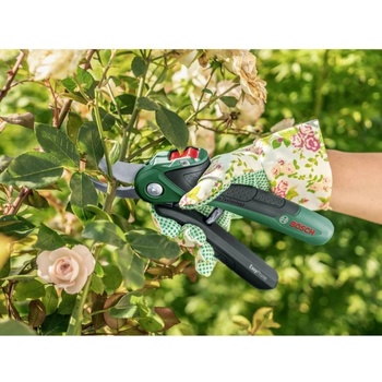 Image 1 of Bosch EasyPrune 06008B2102