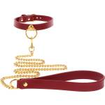 Taboom Bondage in Luxury O-Ring Collar and Chain Leash