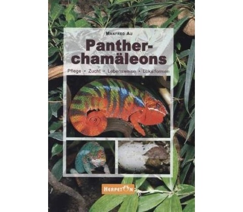 Pantherchamäleons