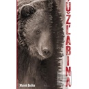 Úžlabina