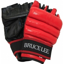 Bruce Lee Allround Grappling