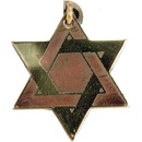 Amulet Symbols Symbol 48 Davidova hvězda