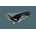 Brooks Swallow B15 černé