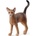 Schleich абисинска котка (13964)