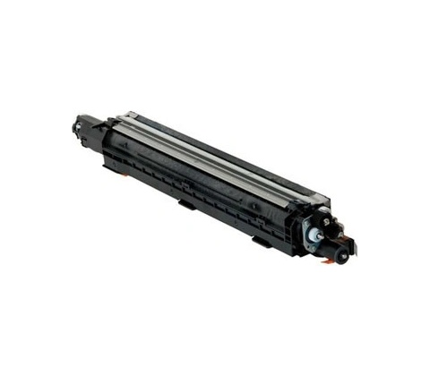 Ricoh D1863082 - originálny