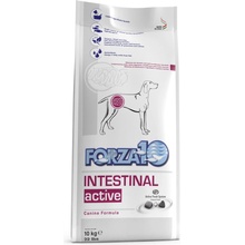 Forza10 Intestinal Active 2 x 10 kg