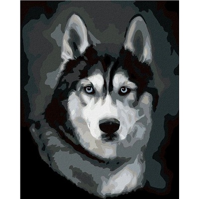 zuty Malování Podle Čísel Husky Portrét 80 x 100 Cm Plátno