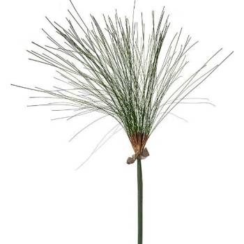 Papyrus