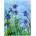 EUROGRAPHICS - Puzzle Monet: Iris / detail / - 1 000 piese