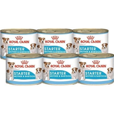 Royal Canin Starter Mousse Mother & Babydog 6 x 195 g