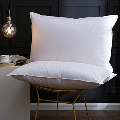 Polštáře a peřiny.cz Péřový polštář COMFORT bílá 40x40