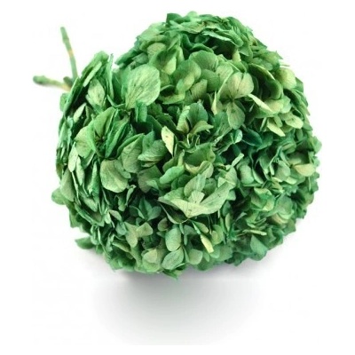 Hortenzie standard (Hortensias)