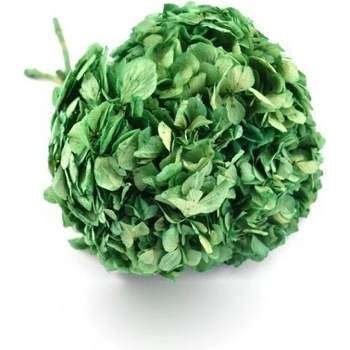 Hortenzie standard (Hortensias)