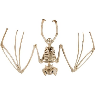 Kostra netopýra na Halloween 30 cm – Zboží Dáma