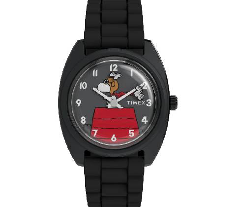 Timex TW2Y70900