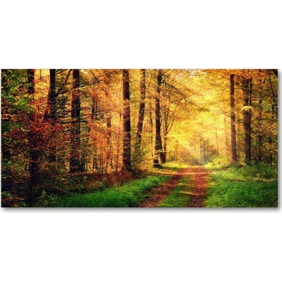 Fotoobraz na skle jesenné les 100x50 cm