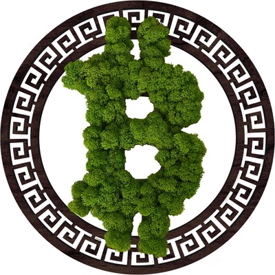 MACHOVÝ DREVENÝ BITCOIN OBRAZ - 40cm, Čierna