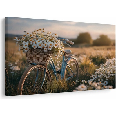 Obraz bicykel s kvetmi na lúke