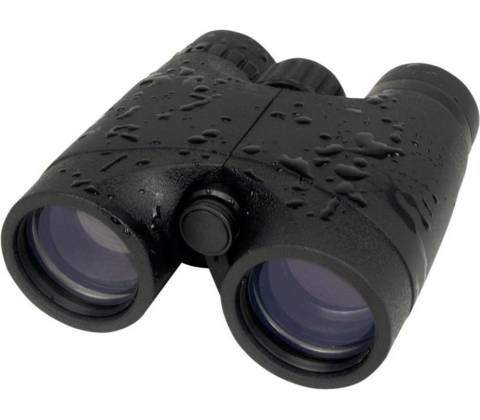 Berger & Schröter 10x42