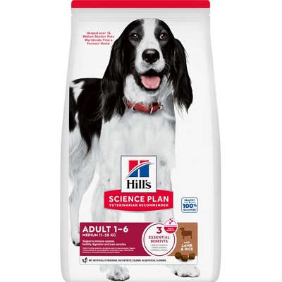 Hill's Canine Adult Lamb & Rice 2 x 14 kg
