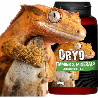 Terrario Oryo vitamíny pro pagekona řasnatého 150 g